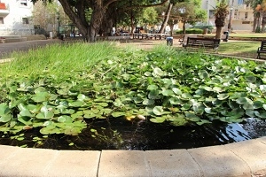 חלוקת מלגות לסטודנטים 