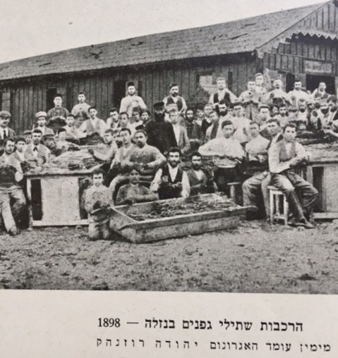 1898