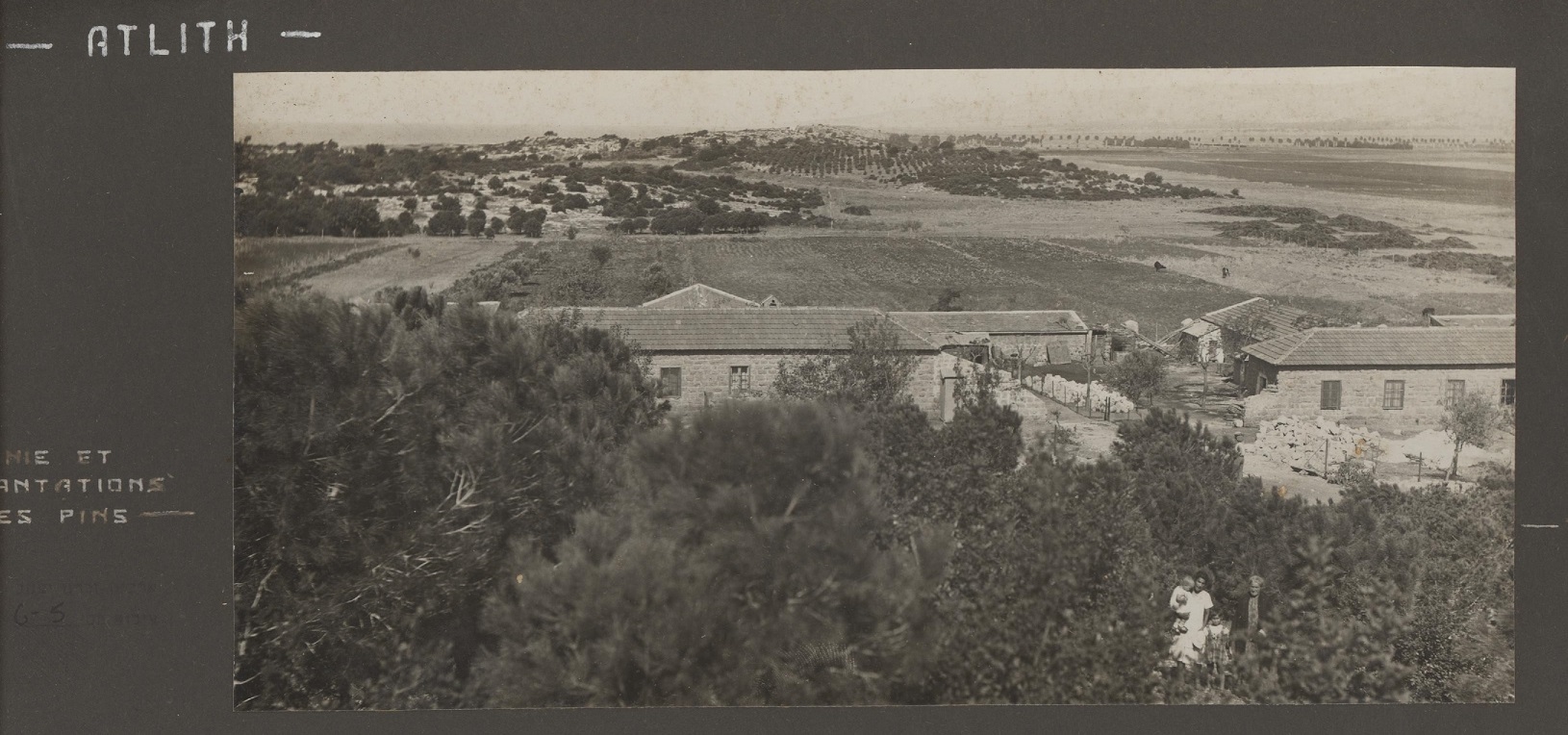 1903
